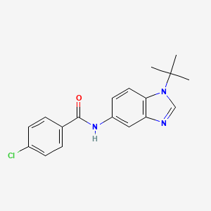 molecular formula C18H18ClN3O B5802453 N-(1-tert-butyl-1H-benzimidazol-5-yl)-4-chlorobenzamide 