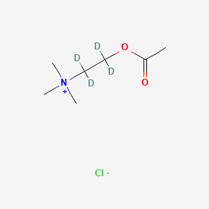 molecular formula C7H16ClNO2 B580264 乙酰胆碱-1,1,2,2-D4 氯化物 CAS No. 344298-94-8