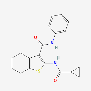 molecular formula C19H20N2O2S B5802664 2-[(cyclopropylcarbonyl)amino]-N-phenyl-4,5,6,7-tetrahydro-1-benzothiophene-3-carboxamide 