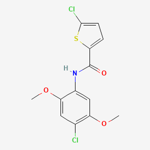 molecular formula C13H11Cl2NO3S B5803209 5-chloro-N-(4-chloro-2,5-dimethoxyphenyl)-2-thiophenecarboxamide 