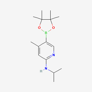 molecular formula C15H25BN2O2 B580328 n-Isopropyl-4-methyl-5-(4,4,5,5-tetramethyl-1,3,2-dioxaborolan-2-yl)pyridin-2-amine CAS No. 1352414-62-0