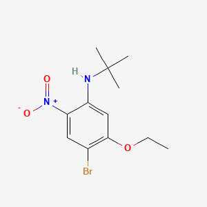 molecular formula C12H17BrN2O3 B580340 4-溴-N-叔丁基-5-乙氧基-2-硝基苯胺 CAS No. 1280786-66-4