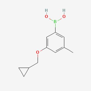 molecular formula C11H15BO3 B580345 (3-(环丙基甲氧基)-5-甲苯基)硼酸 CAS No. 1256345-78-4