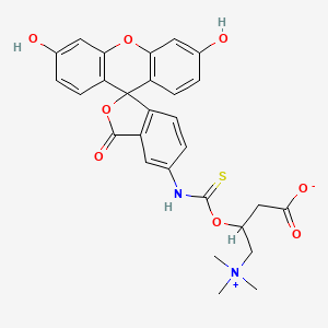 molecular formula C28H26N2O8S B580370 N-(5-荧光素基)-L-肉碱-O-硫代氨基甲酸酯 CAS No. 1258239-73-4