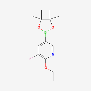 molecular formula C13H19BFNO3 B580382 2-Ethoxy-3-fluoro-5-(4,4,5,5-tetramethyl-1,3,2-dioxaborolan-2-yl)pyridine CAS No. 1334167-86-0
