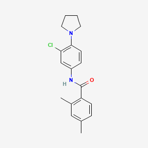 molecular formula C19H21ClN2O B5804434 N-[3-chloro-4-(1-pyrrolidinyl)phenyl]-2,4-dimethylbenzamide 