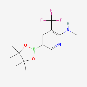 molecular formula C13H18BF3N2O2 B580450 N-methyl-5-(4,4,5,5-tetramethyl-1,3,2-dioxaborolan-2-yl)-3-(trifluoromethyl)pyridin-2-amine CAS No. 1257431-67-6