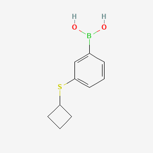 molecular formula C10H13BO2S B580524 3-(环丁基硫)苯硼酸 CAS No. 1256346-42-5
