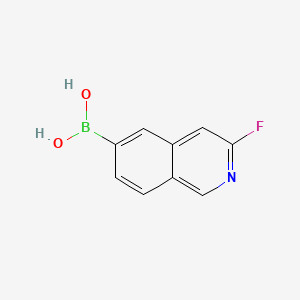 molecular formula C9H7BFNO2 B580572 (3-氟异喹啉-6-基)硼酸 CAS No. 1105710-34-6