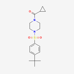 molecular formula C18H26N2O3S B5805983 1-[(4-tert-butylphenyl)sulfonyl]-4-(cyclopropylcarbonyl)piperazine 