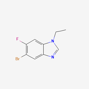 molecular formula C9H8BrFN2 B580613 5-溴-1-乙基-6-氟-1H-苯并[d]咪唑 CAS No. 1261988-22-0
