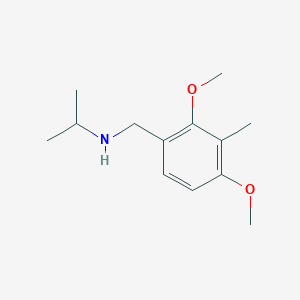 molecular formula C13H21NO2 B5806511 (2,4-dimethoxy-3-methylbenzyl)isopropylamine 