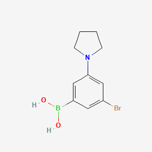 molecular formula C10H13BBrNO2 B580675 3-Bromo-5-pyrrolidinophenylboronic acid CAS No. 1256355-16-4