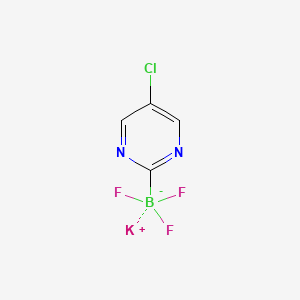molecular formula C4H2BClF3KN2 B580736 Potassium (5-chloropyrimidin-2-yl)trifluoroborate CAS No. 1245906-58-4