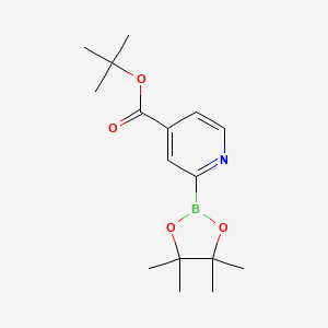 molecular formula C16H24BNO4 B580768 tert-Butyl 2-(4,4,5,5-tetramethyl-1,3,2-dioxaborolan-2-yl)isonicotinate CAS No. 1310385-01-3
