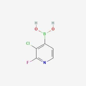 molecular formula C5H4BClFNO2 B580813 (3-氯-2-氟吡啶-4-基)硼酸 CAS No. 1217500-55-4