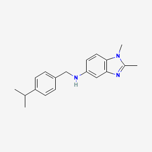 molecular formula C19H23N3 B5808434 N-(4-isopropylbenzyl)-1,2-dimethyl-1H-benzimidazol-5-amine 