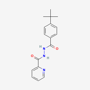 molecular formula C17H19N3O2 B5808460 N'-(4-tert-butylbenzoyl)-2-pyridinecarbohydrazide 