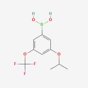 molecular formula C10H12BF3O4 B580874 3-异丙氧基-5-(三氟甲氧基)苯硼酸 CAS No. 1256346-01-6
