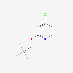 molecular formula C7H5ClF3NO B580889 4-氯-2-(2,2,2-三氟乙氧基)吡啶 CAS No. 1346809-11-7