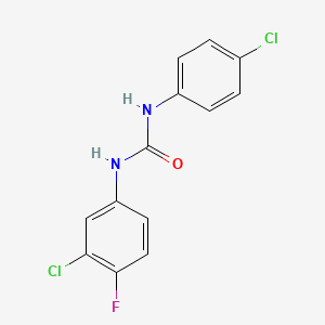 molecular formula C13H9Cl2FN2O B5809113 N-(3-chloro-4-fluorophenyl)-N'-(4-chlorophenyl)urea 