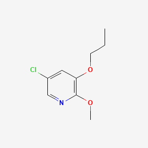 molecular formula C9H12ClNO2 B580961 5-氯-2-甲氧基-3-丙氧基吡啶 CAS No. 1228957-11-6