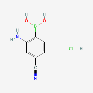 molecular formula C7H8BClN2O2 B580966 2-氨基-4-氰基苯硼酸盐酸盐 CAS No. 850568-47-7
