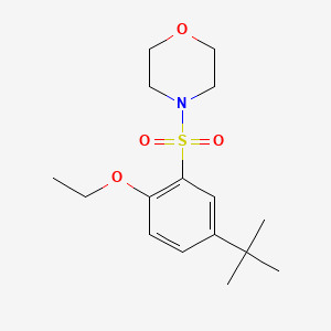 molecular formula C16H25NO4S B5810075 4-[(5-tert-butyl-2-ethoxyphenyl)sulfonyl]morpholine 