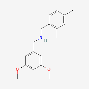 molecular formula C18H23NO2 B5810088 (3,5-dimethoxybenzyl)(2,4-dimethylbenzyl)amine 