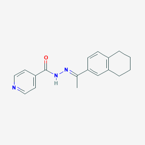 molecular formula C18H19N3O B5810613 N'-[1-(5,6,7,8-tetrahydro-2-naphthalenyl)ethylidene]isonicotinohydrazide 