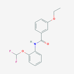 molecular formula C16H15F2NO3 B5810646 N-[2-(difluoromethoxy)phenyl]-3-ethoxybenzamide 