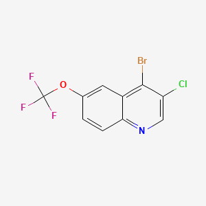 molecular formula C10H4BrClF3NO B581070 4-Bromo-3-chloro-6-(trifluoromethoxy)quinoline CAS No. 1211818-09-5