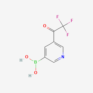 molecular formula C7H5BF3NO3 B581138 (5-(2,2,2-Trifluoroacetyl)pyridin-3-yl)boronic acid CAS No. 1310384-93-0