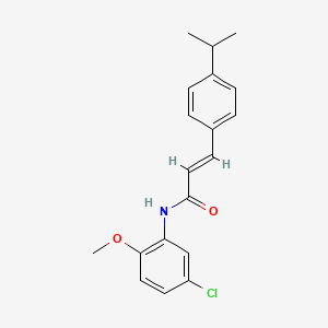 molecular formula C19H20ClNO2 B5811418 N-(5-chloro-2-methoxyphenyl)-3-(4-isopropylphenyl)acrylamide 