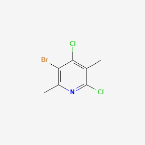 molecular formula C7H6BrCl2N B581192 3-Bromo-4,6-dichloro-2,5-dimethylpyridine CAS No. 1256254-36-0