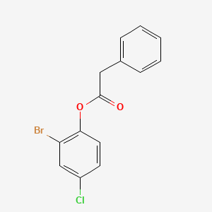 molecular formula C14H10BrClO2 B5812004 2-bromo-4-chlorophenyl phenylacetate 
