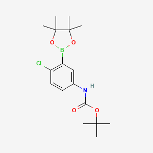 molecular formula C17H25BClNO4 B581253 5-BOC-氨基-2-氯苯基硼酸频哪醇酯 CAS No. 1080573-28-9
