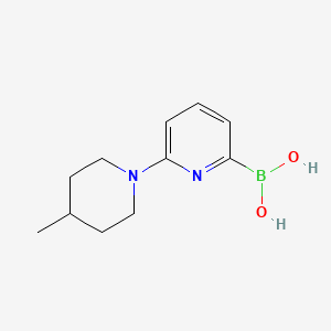 molecular formula C11H17BN2O2 B581265 (6-(4-Methylpiperidin-1-yl)pyridin-2-yl)boronic acid CAS No. 1310404-14-8