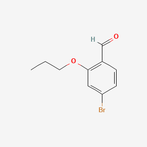 molecular formula C10H11BrO2 B581272 4-溴-2-丙氧基苯甲醛 CAS No. 1094555-01-7