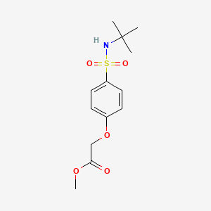 molecular formula C13H19NO5S B5812960 methyl {4-[(tert-butylamino)sulfonyl]phenoxy}acetate 