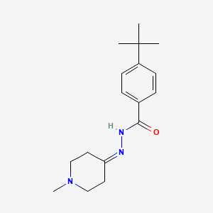 molecular formula C17H25N3O B5813201 4-tert-butyl-N'-(1-methyl-4-piperidinylidene)benzohydrazide 