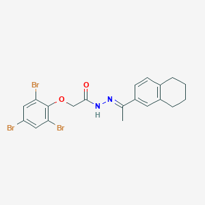 molecular formula C20H19Br3N2O2 B5813205 N'-[1-(5,6,7,8-tetrahydro-2-naphthalenyl)ethylidene]-2-(2,4,6-tribromophenoxy)acetohydrazide 