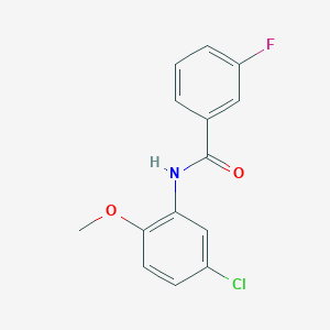 molecular formula C14H11ClFNO2 B5813261 N-(5-chloro-2-methoxyphenyl)-3-fluorobenzamide 