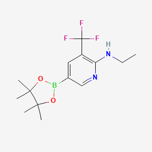 molecular formula C14H20BF3N2O2 B581417 N-ethyl-5-(4,4,5,5-tetramethyl-1,3,2-dioxaborolan-2-yl)-3-(trifluoromethyl)pyridin-2-amine CAS No. 1257432-06-6