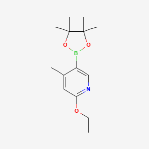 molecular formula C14H22BNO3 B581459 2-Éthoxy-4-méthyl-5-(4,4,5,5-tétraméthyl-1,3,2-dioxaborolan-2-yl)pyridine CAS No. 1309982-67-9