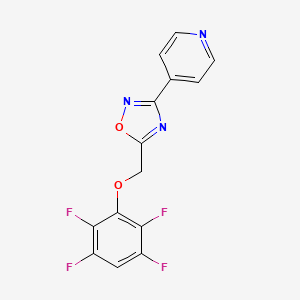 molecular formula C14H7F4N3O2 B5814882 4-{5-[(2,3,5,6-tetrafluorophenoxy)methyl]-1,2,4-oxadiazol-3-yl}pyridine 