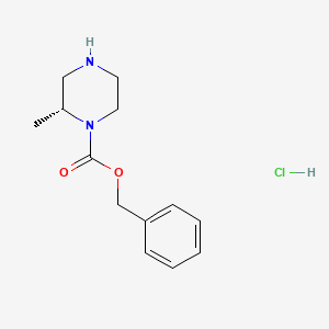 molecular formula C13H19ClN2O2 B581559 (r)-Benzyl 2-methylpiperazine-1-carboxylate hydrochloride CAS No. 1217848-48-0