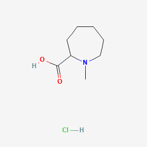 molecular formula C8H16ClNO2 B581575 1-甲基氮杂环庚烷-2-羧酸盐酸盐 CAS No. 1214079-50-1