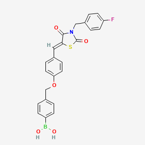 molecular formula C24H19BFNO5S B581603 [4-[[4-[(Z)-[3-[(4-氟苯基)甲基]-2,4-二氧代-1,3-噻唑烷-5-亚甲基]甲基]苯氧基]甲基]苯基]硼酸 CAS No. 1312201-00-5
