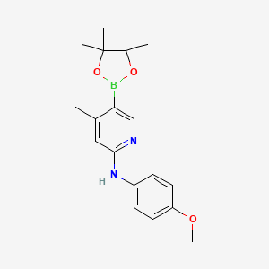 molecular formula C19H25BN2O3 B581618 n-(4-Methoxyphenyl)-4-methyl-5-(4,4,5,5-tetramethyl-1,3,2-dioxaborolan-2-yl)pyridin-2-amine CAS No. 1351381-25-3